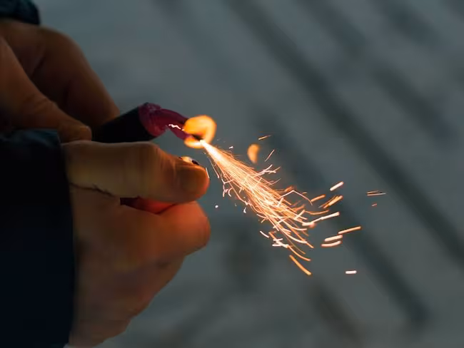 Perrita murió tras lanzarse de un octavo piso por pánico a la pólvora en Colombia