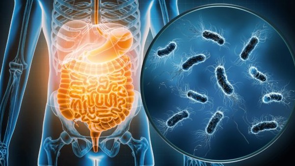 Descubren cómo actúa la variante del virus que ha disparado los casos de gastroenteritis