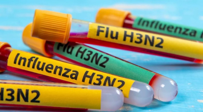 México descarta presencia en el país de la variante K de influenza A H3N2