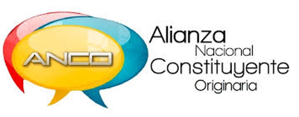 Propuesta de Anco busca una solución pacífica a la crisis venezolana