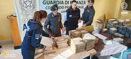 Incautan más de 2 toneladas de cocaína en el puerto de Génova, Italia