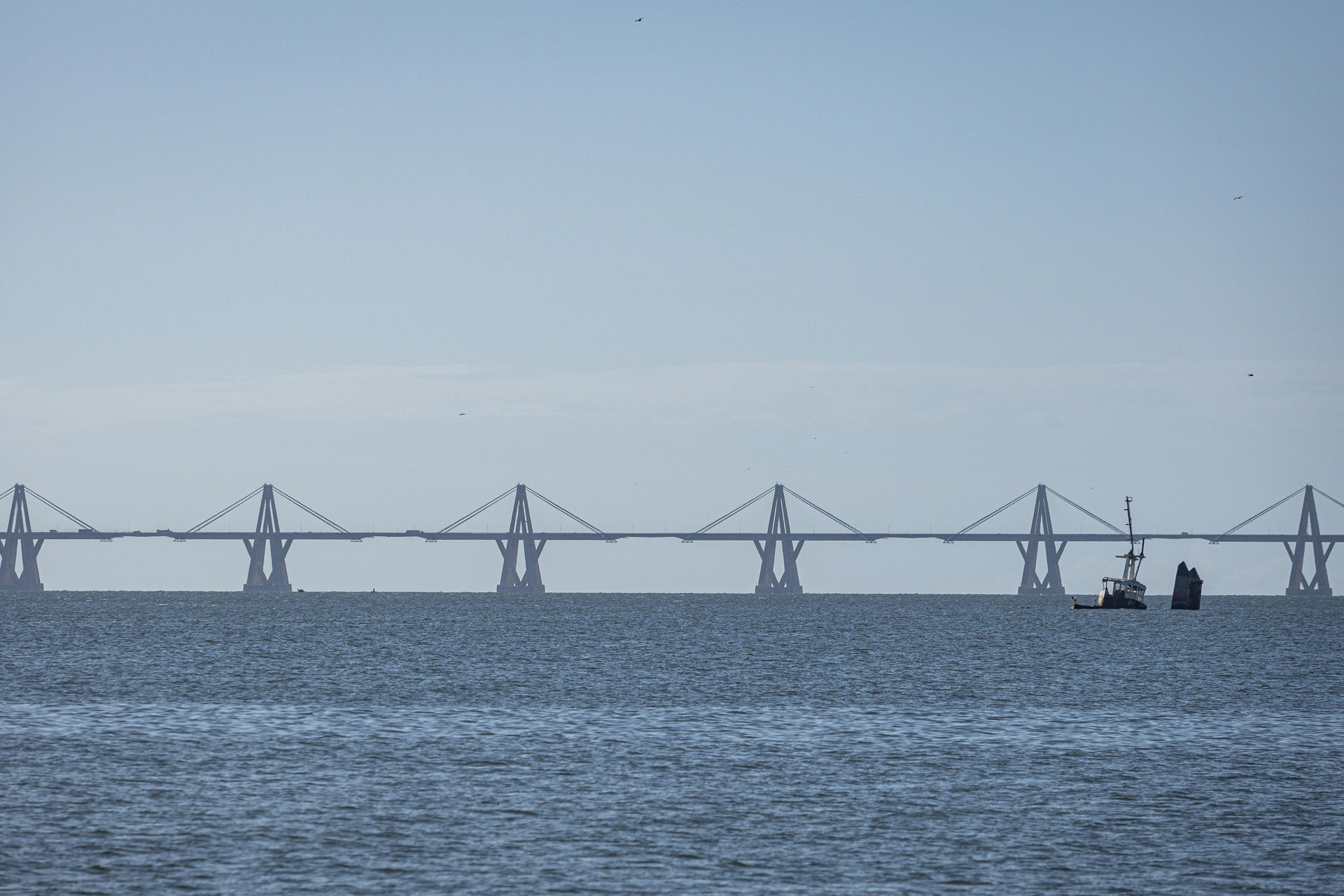 Decano de la UCV estima que ingresos petroleros pueden ayudar al mercado cambiario