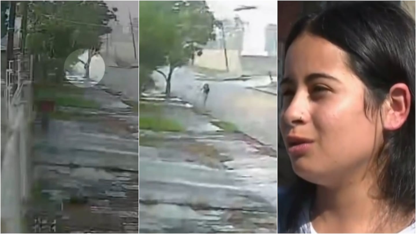 Impactante VIDEO: el momento en que una joven se aferró a un árbol para sobrevivir a un tornado
