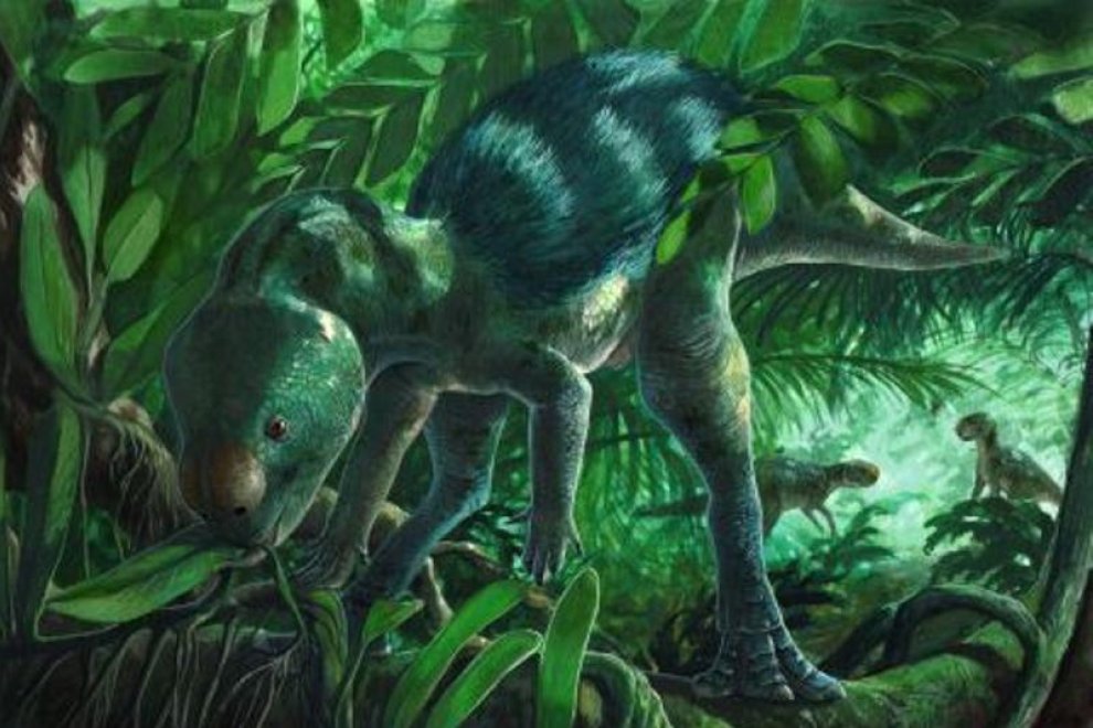 Descubren en España al dinosaurio ornitópodo más pequeño del mundo (FOTOS)