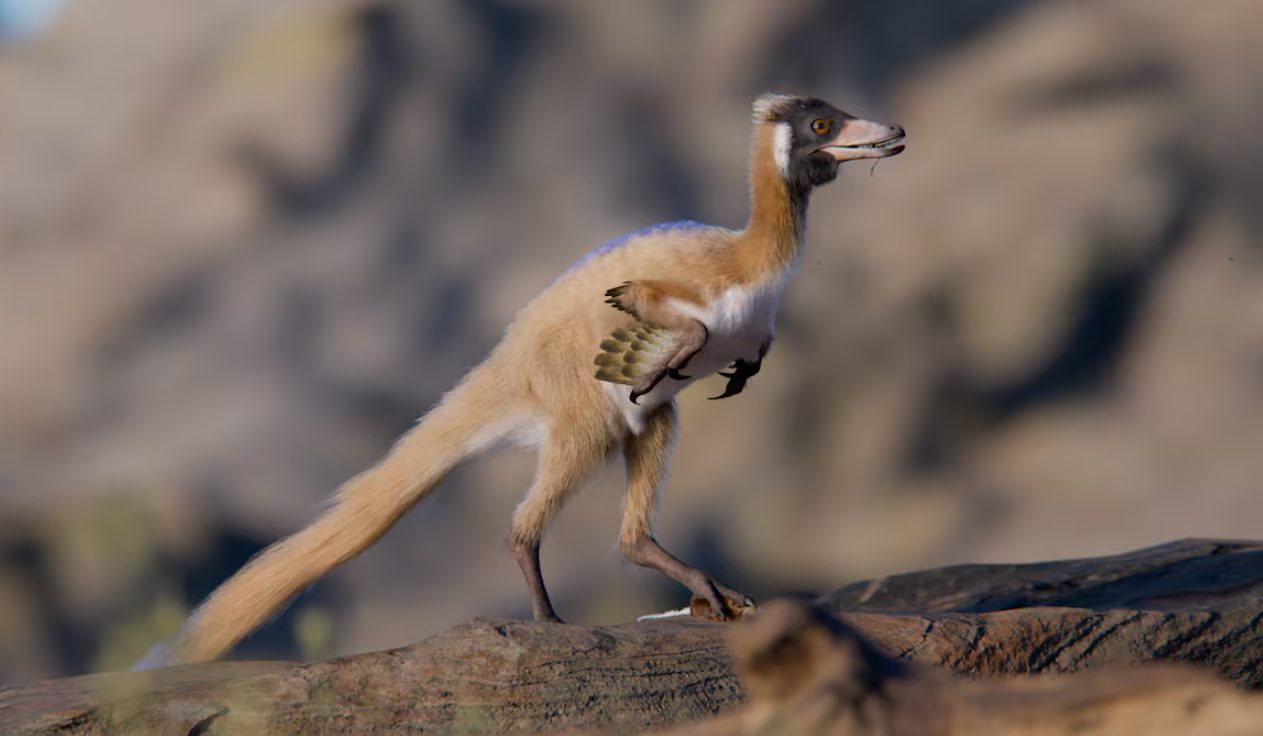 Investigadores hallaron en Argentina el "eslabón perdido" de un misterioso grupo de dinosaurios