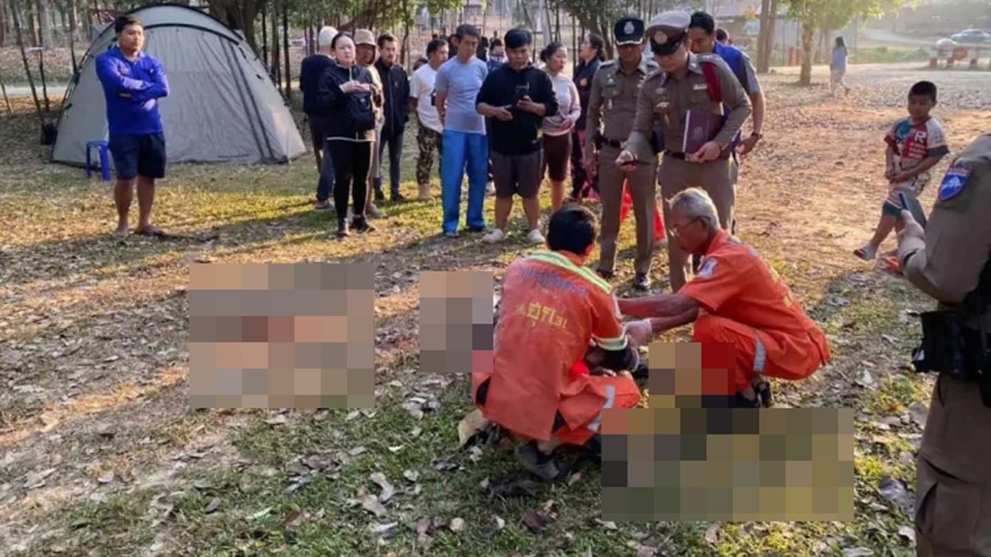 Tragedia en el parque: Un hombre murió aplastado por un elefante frente a su esposa
