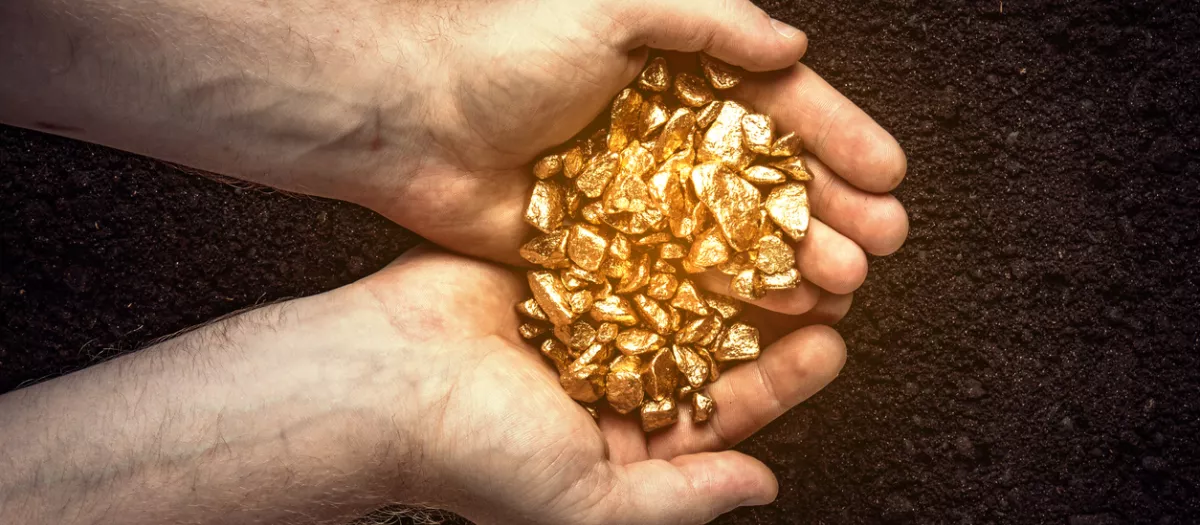 El aparato de nuestro hogar que tiramos a la basura y que podría tener oro de 22 quilates