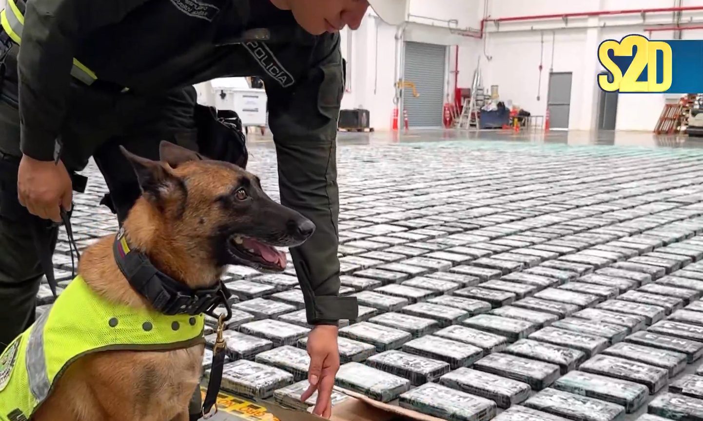 Colombia incautó cuatro toneladas de cocaína en contenedores rumbo a Reino Unido (VIDEO)