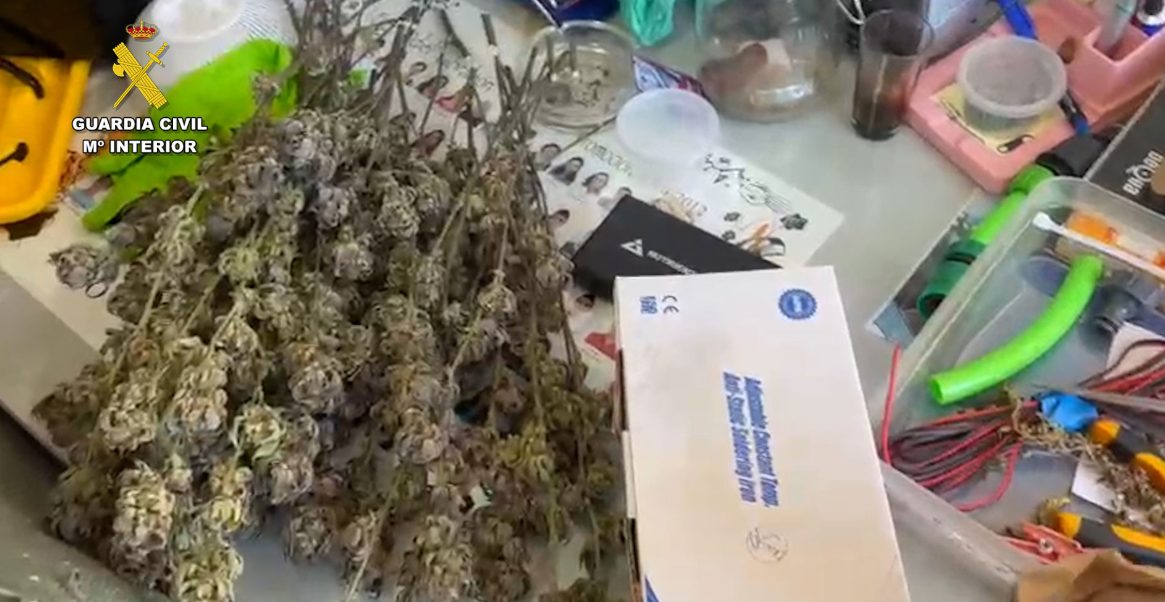 Desmantelada en España una de las mayores redes de distribución de hachís