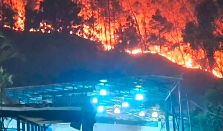 Voraz incendio forestal arrasó 260 hectáreas de una zona montañosa en la bajada de Tazón