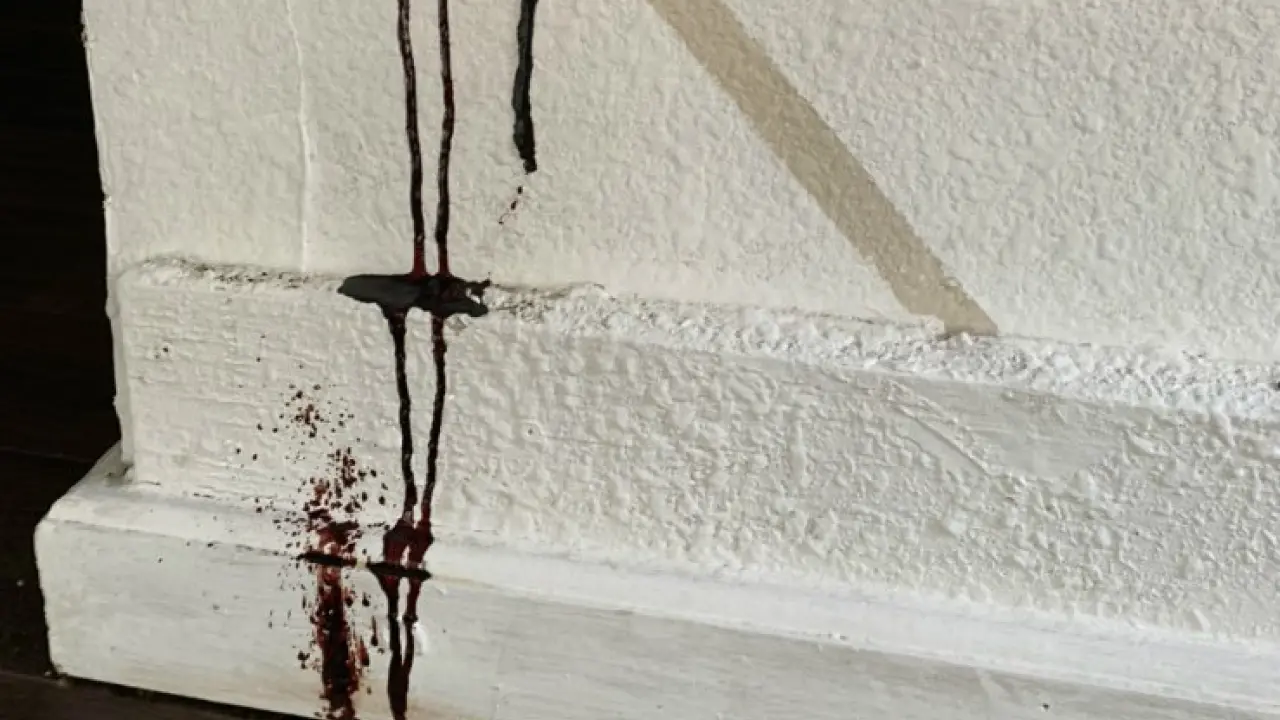 El techo de su casa chorreaba una sustancia negra y descubrió el terrible origen