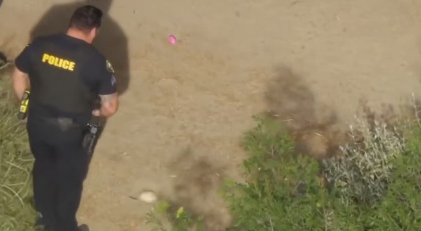 Niños buscaban huevos de Pascua en Long Island, pero se toparon con un hallazgo macabro