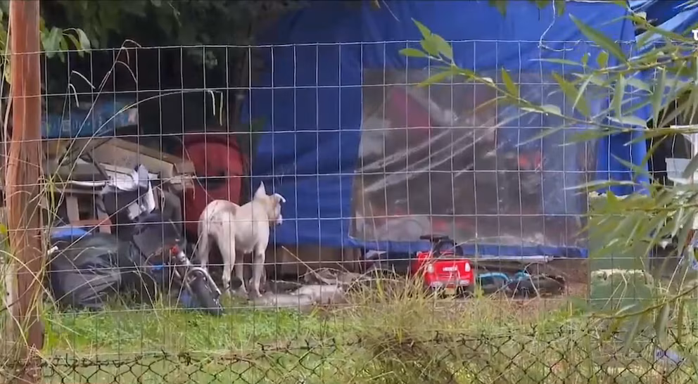 Horror en Uruguay: mujer logró huir de una casa donde era abusada y drogada junto a otra víctima y sus hijos