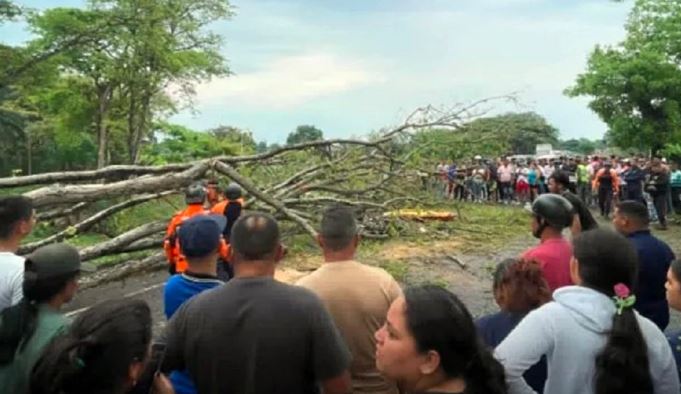 Tragedia en Barinas: Niña murió días después de que un árbol aplastara la moto donde viajaba con su tío
