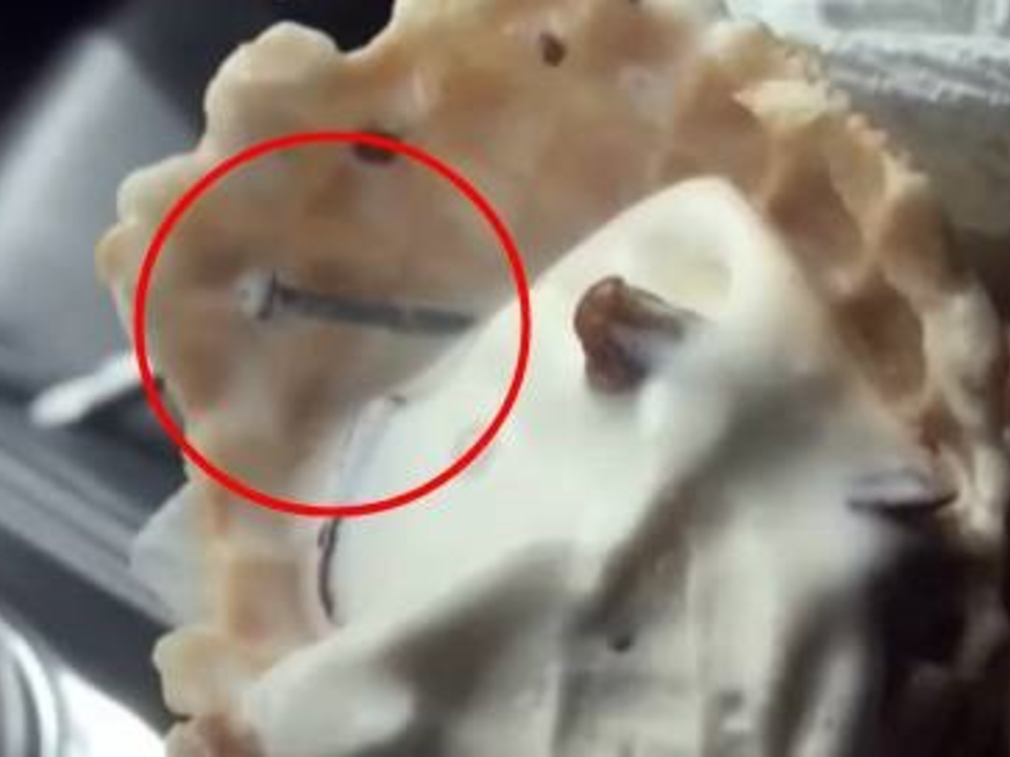 La millonaria indemnización que recibió una mujer tras comer un helado que contenía clavos