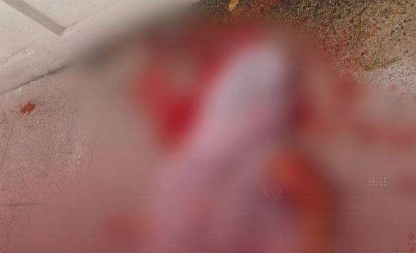 Tragedia en Caracas: Joven falleció tras caer desde un edificio en la avenida Fuerzas Armadas