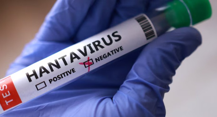 Hantavirus: cinco casos confirmados y otros cuatro sospechosos, OMS investiga el origen en Cono Sur