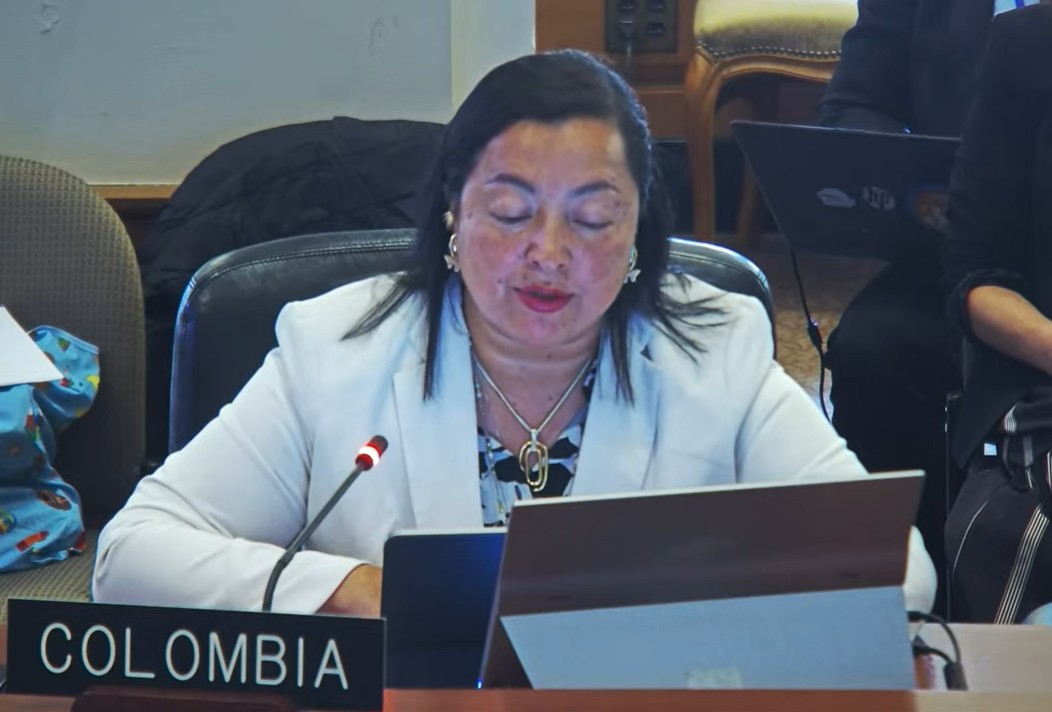 Colombia pidió ante la OEA mantener el foco en la situación de los presos políticos en Venezuela