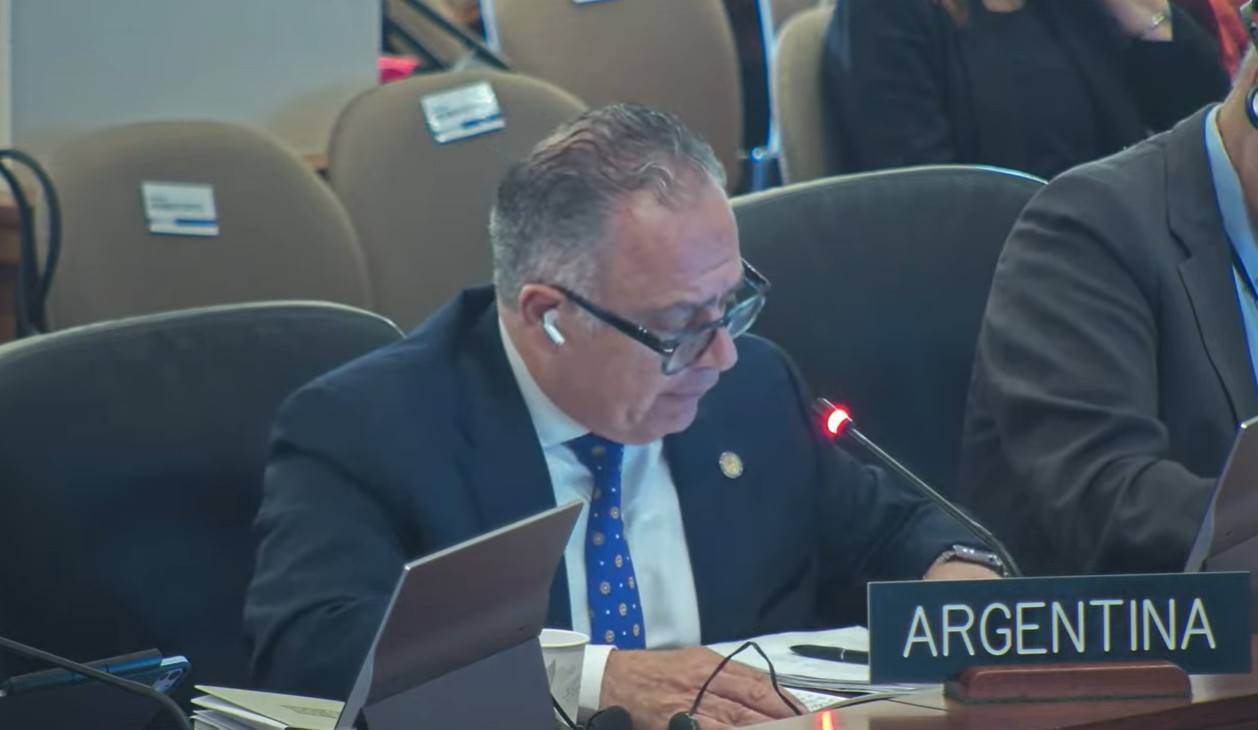 Argentina insta a la OEA a promover iniciativas concretas para restituir la democracia en Venezuela