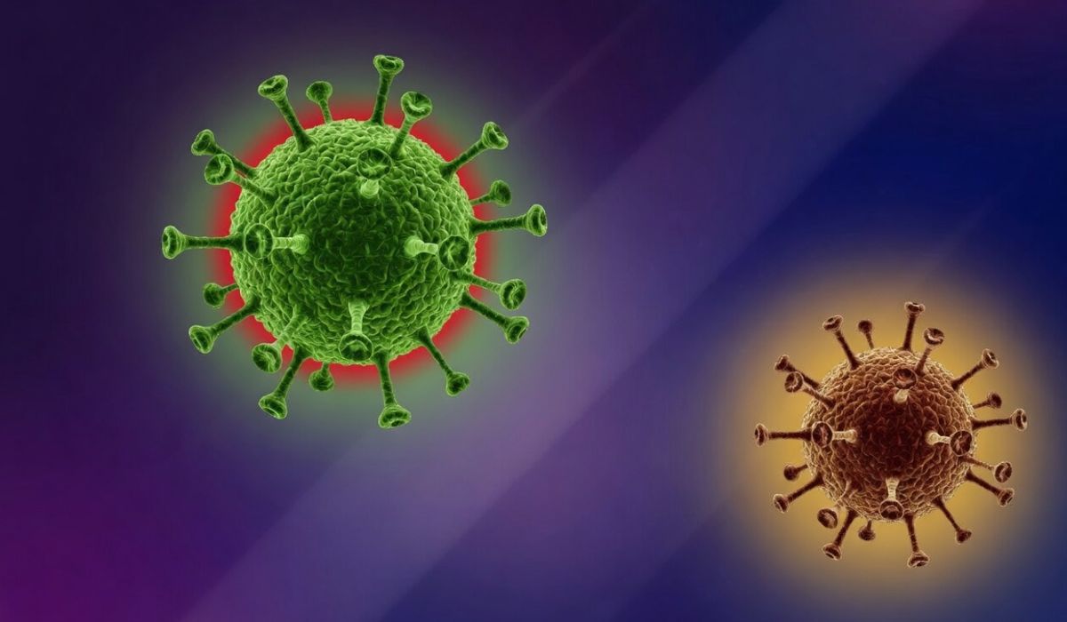 Cómo actúa la variante más letal y extraña del hantavirus que se transmite entre personas