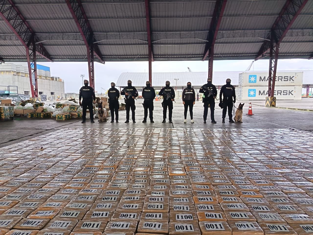Ecuador incautó enorme cargamento de droga oculto en cajas de fruta que iban rumbo a Reino Unido