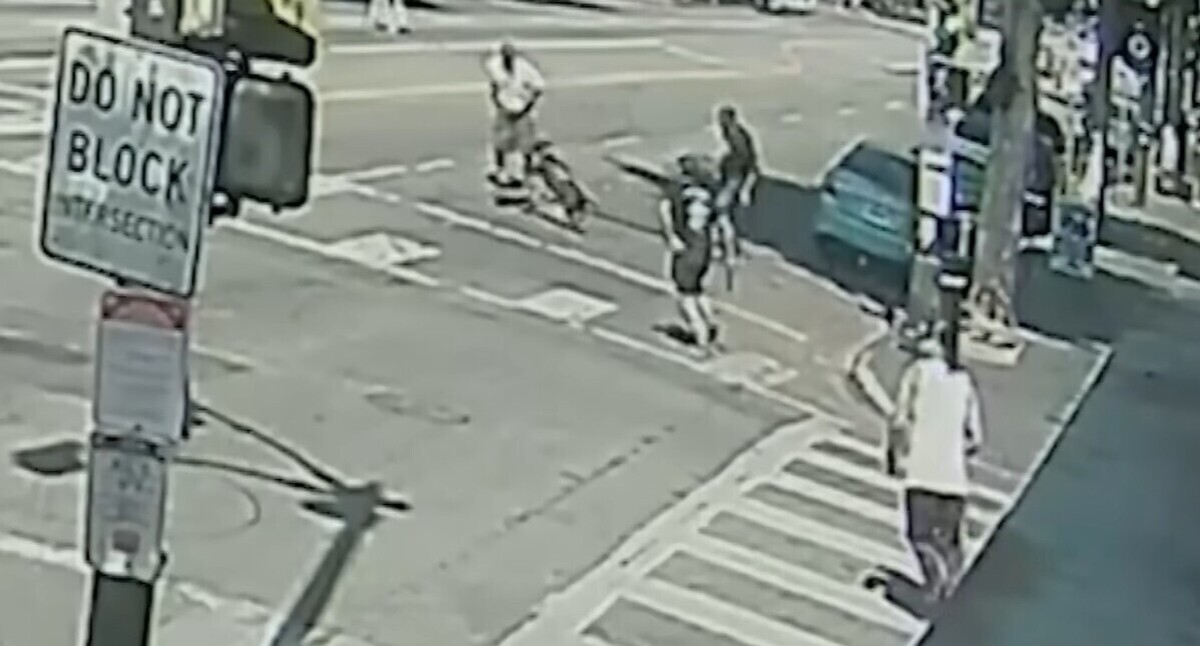 Pánico en Hollywood: fue atacado por un pitbull, intentó defenderse y el dueño lo apuñaló (VIDEO)