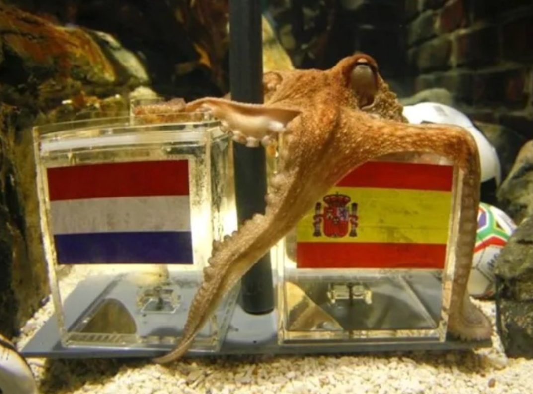 De los tentáculos del pulpo Paul al algoritmo de la IA: el c