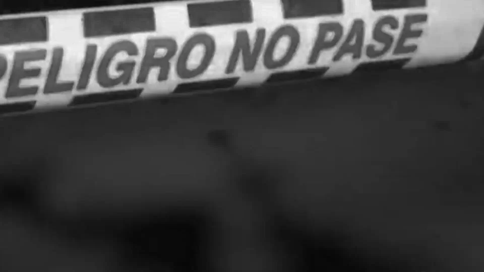 Temible hallazgo en Bogotá: una cabeza humana fuertemente golpeada en plena vía pública