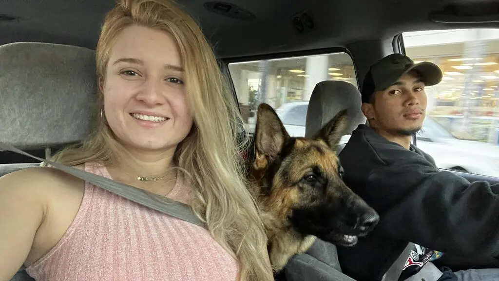 Huyeron de Georgia por miedo y dejaron atrás a sus mascotas: