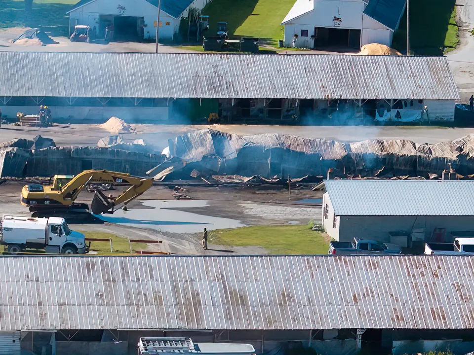 Un devastador incendio en un establo mató a 17 caballos en Saratoga Springs