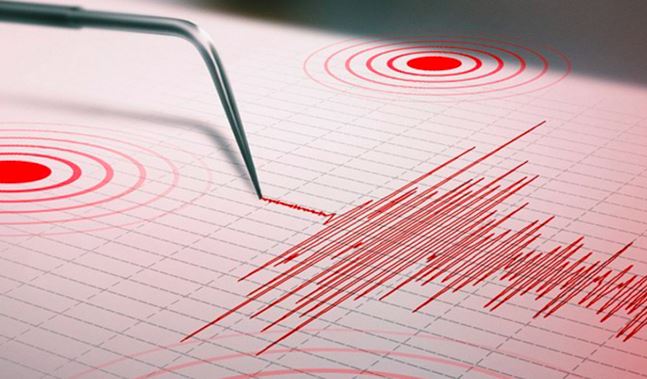 Funvisis confirmó un sismo con epicentro en Portuguesa durante la noche del #4Jun