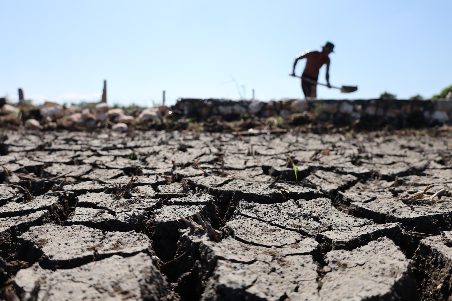 ONU prevé un golpe de "El Niño" a la seguridad alimentaria centroamericana