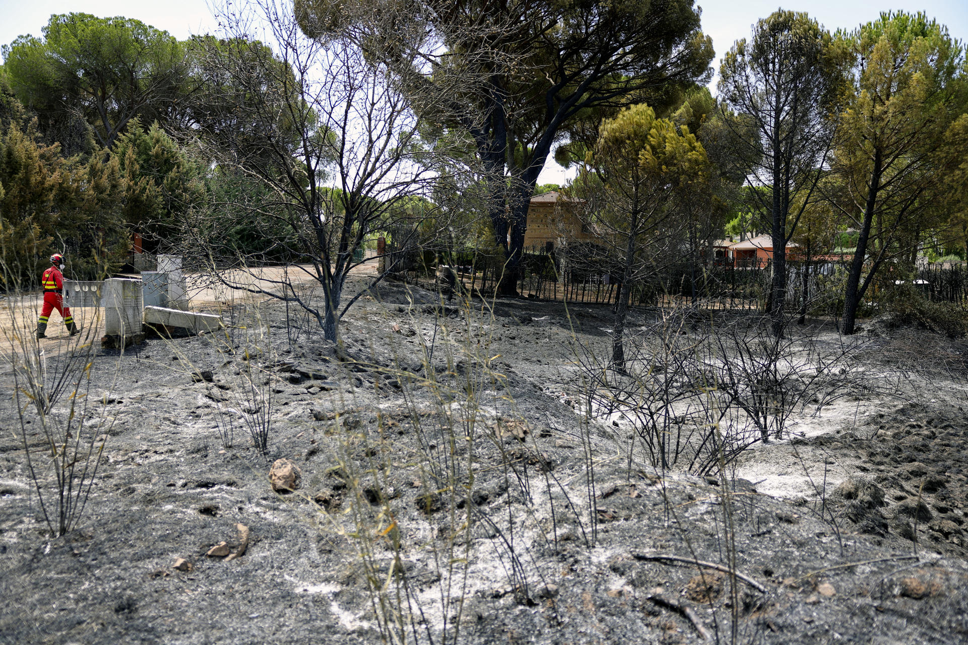 Devastadores incendios forestales ha generado más de 115.000 evacuaciones en España