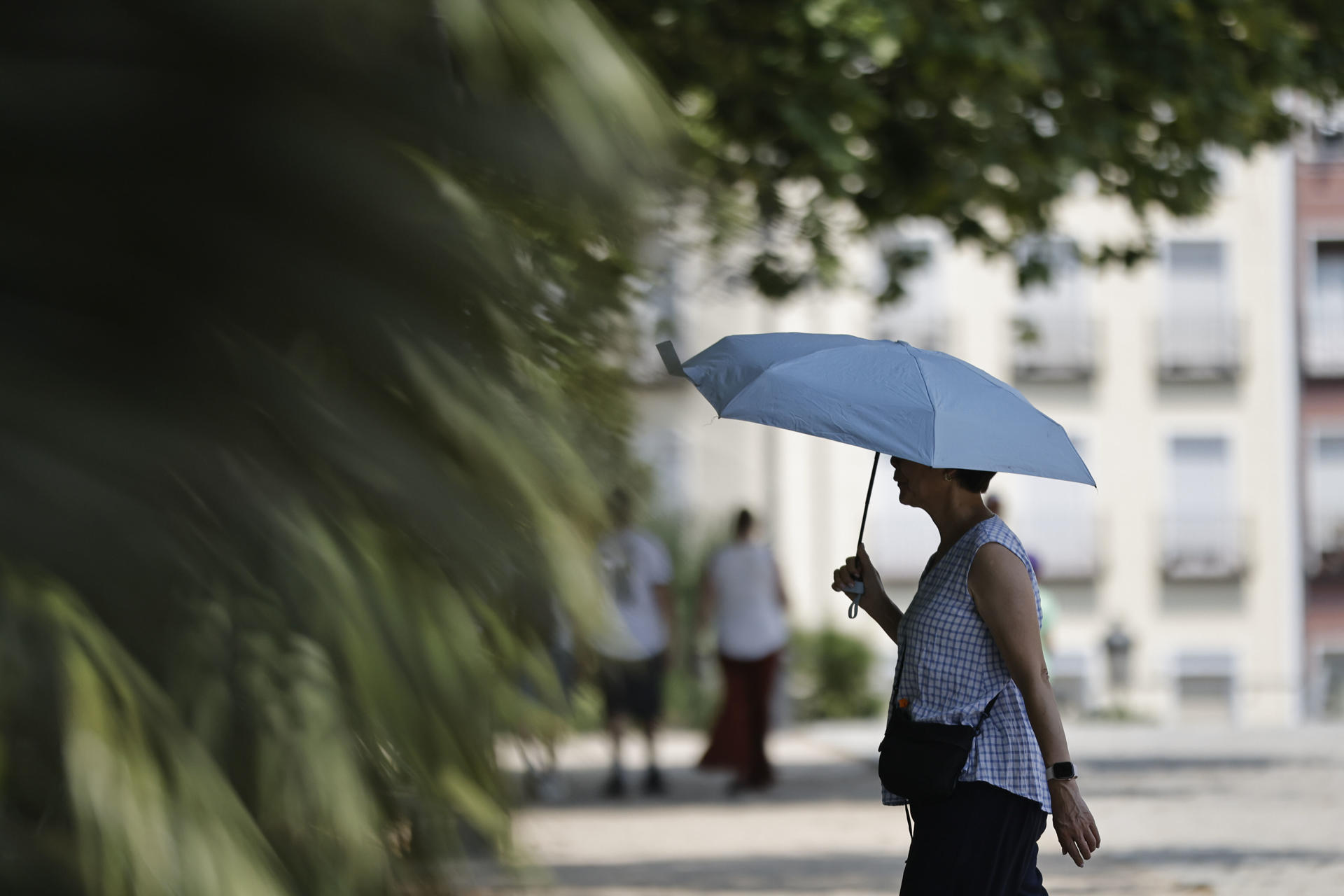 EEUU vive el peor día de la ola de calor con más de 113 millones de personas en riesgo
