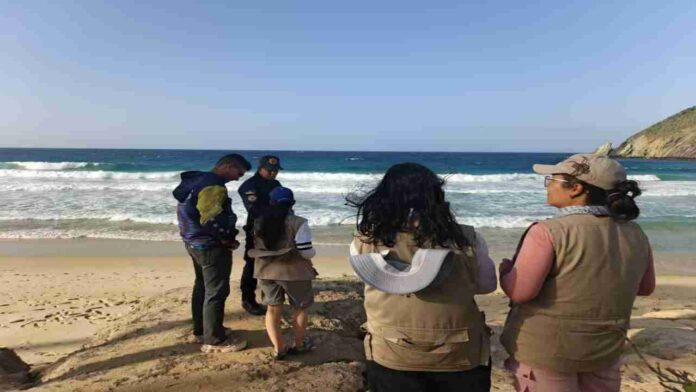 Funvisis descarta daños estructurales graves tras sismos en costas de Choroní