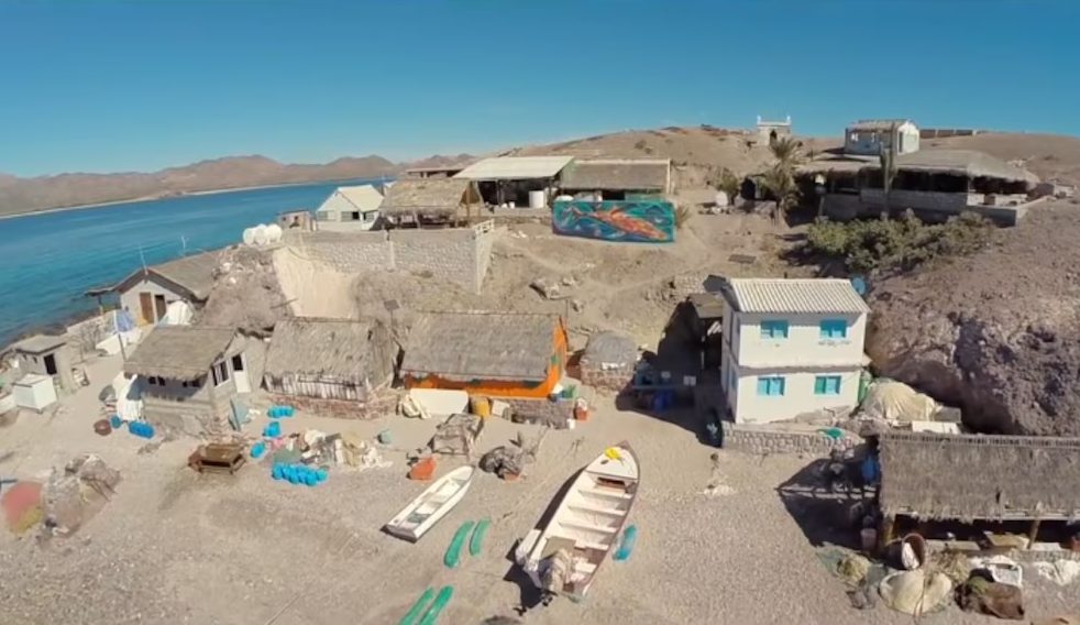 Llegaron en bote a una isla desierta y la transformaron en su hogar: así ganan dinero