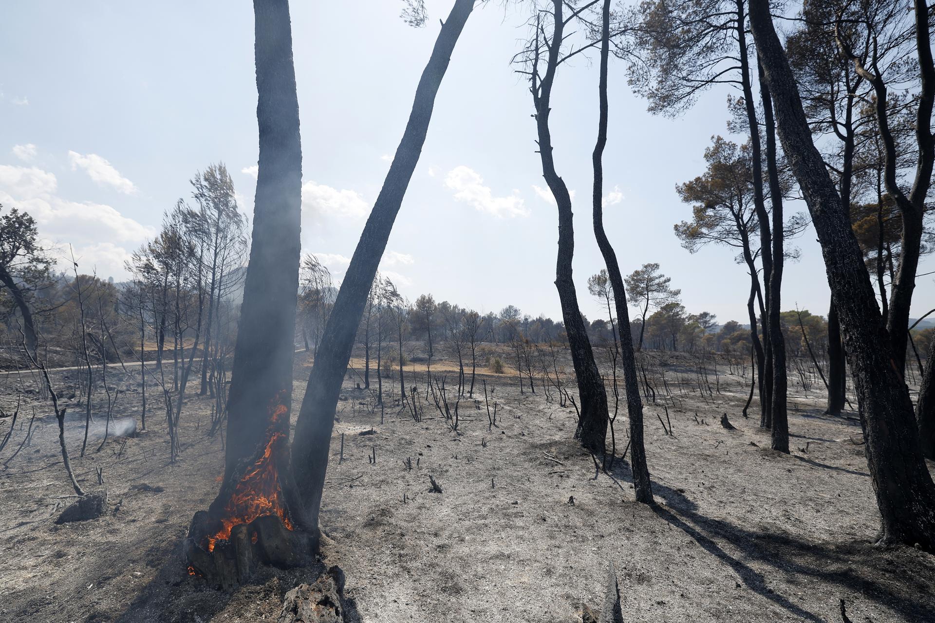 Evacúan a casi nueve mil personas por un incendio forestal en Francia