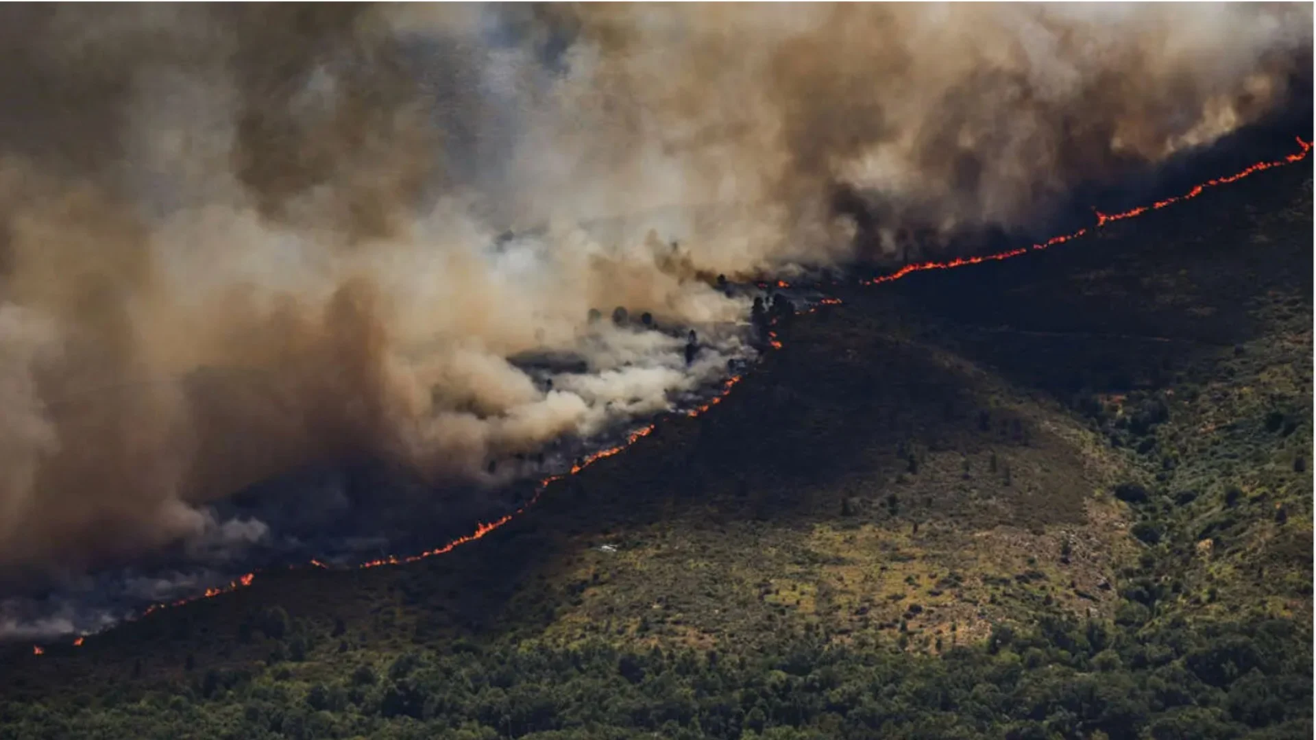 Más de 40 mil personas fueron evacuadas por el gran incendio en Madrid