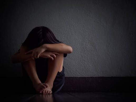 Bolivia, Francia y Brasil unieron fuerzas para desmantelar una red de abuso sexual infantil