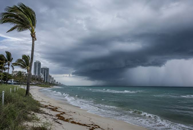 Tormenta tropical Bertha se formará este #20Jul en el golfo de México frente a la costa de Florida
