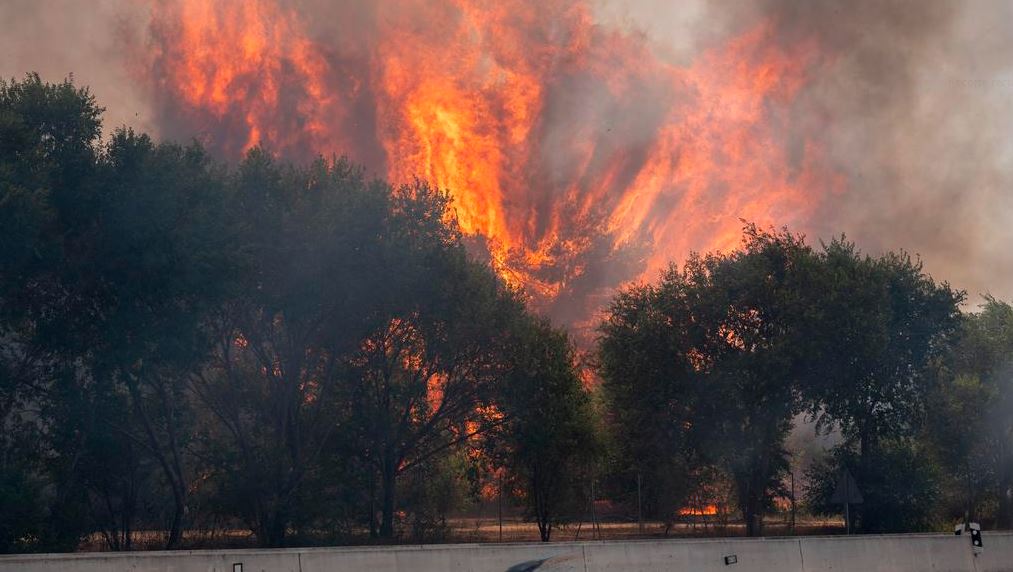Portugal, Grecia e Italia se sumaron para apoyar en sofocar los incendios forestales en España