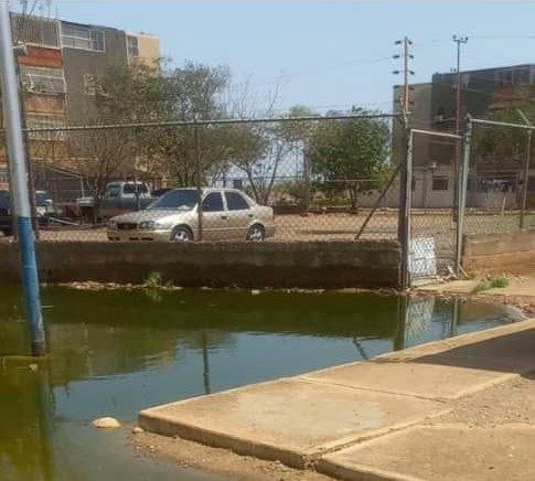 Por las calles de Falcón corren aguas podridas que "le ponen la vida de cuadritos" a la gente