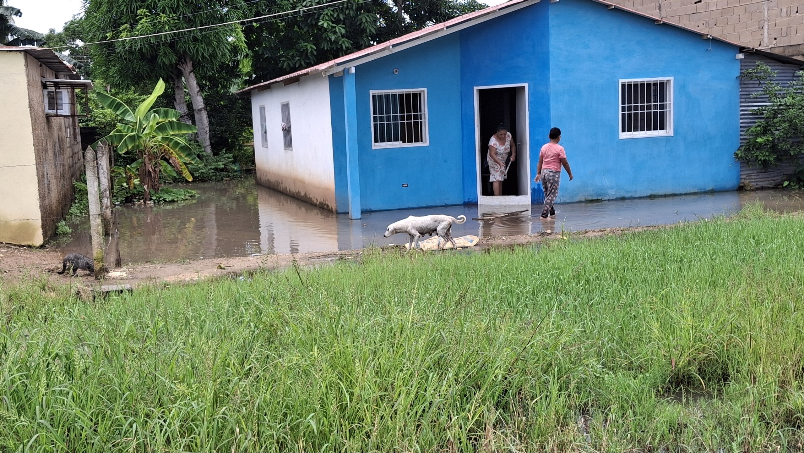 Más de 50 casas inundadas en Santa Inés I de Maturín tras continuas lluvias