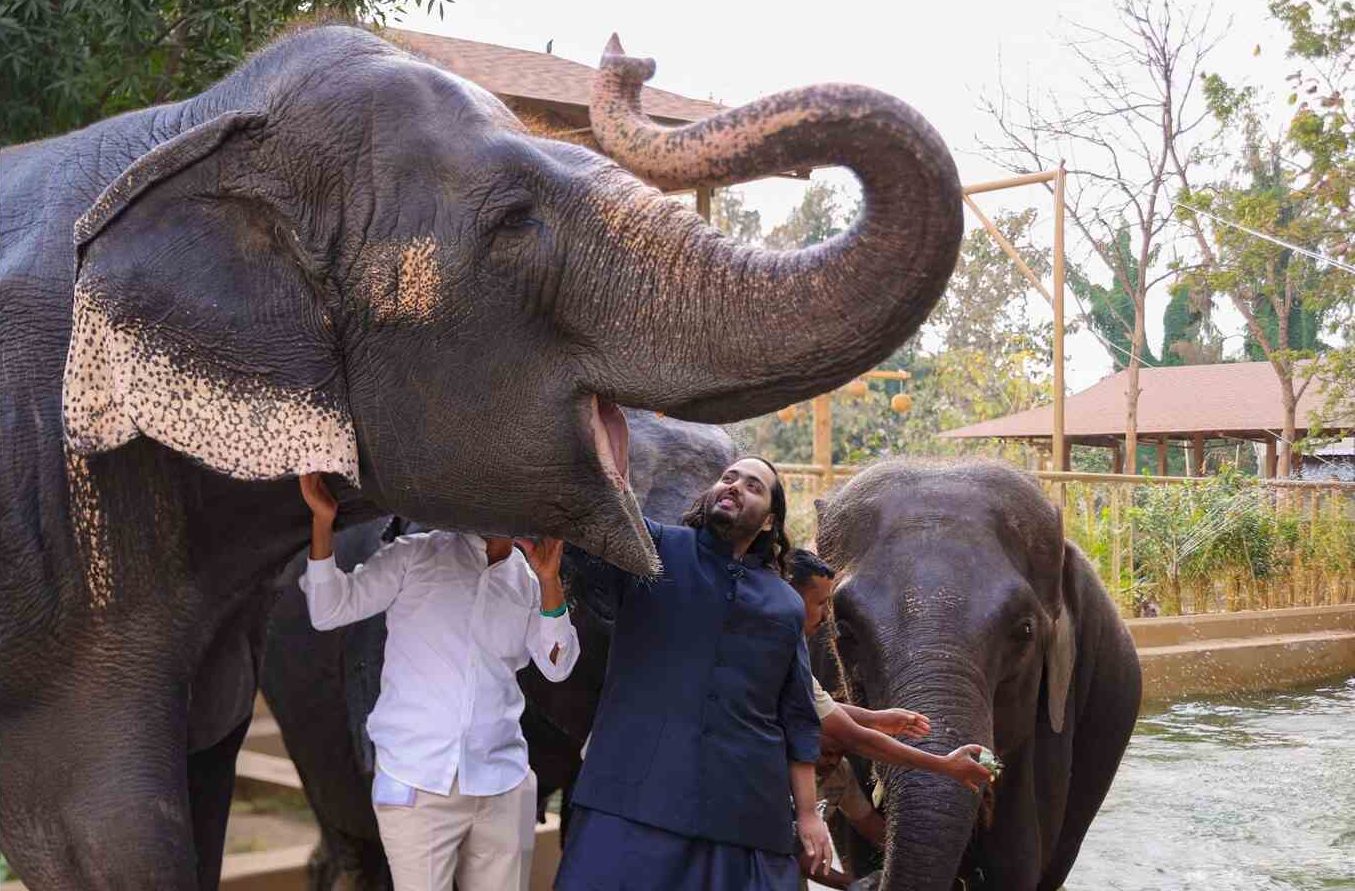 Las polémicas de Vantara, firma india a la que Delcy Rodríguez entregó los zoológicos venezolanos