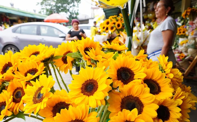¿Por qué se regalan flores amarillas el 21 de septiembre?