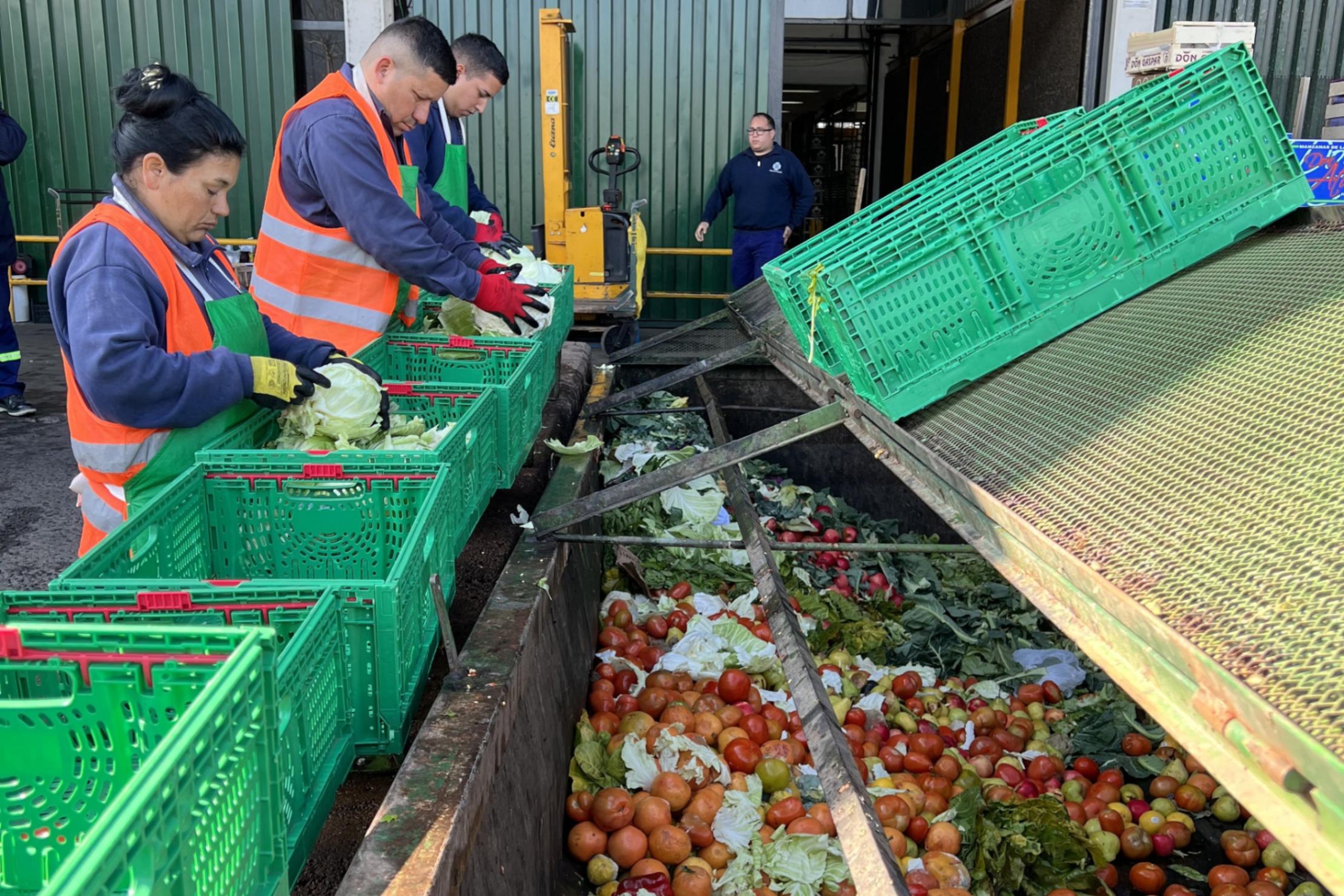 La alarmante cifra de alimentos que desperdicia República Dominicana cada semana, según una ONG