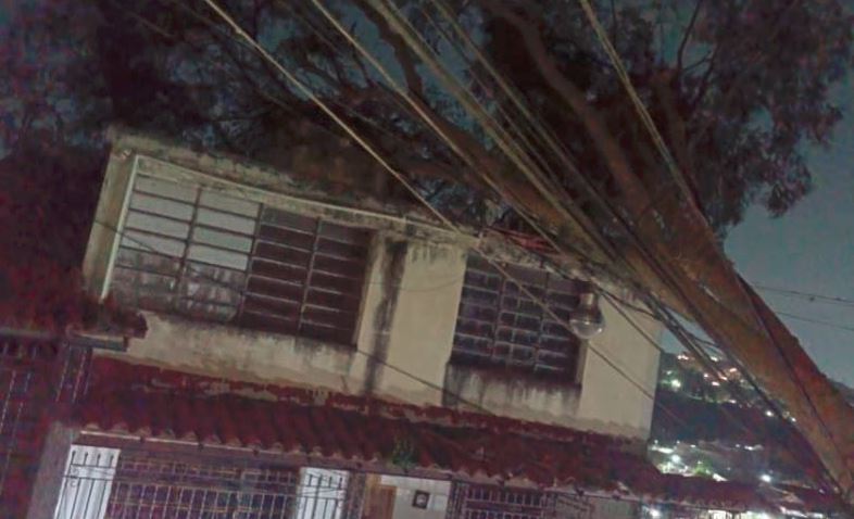 Susto en Petare: Árbol de 20 metros cayó sobre una vivienda y líneas de alta tensión eléctrica