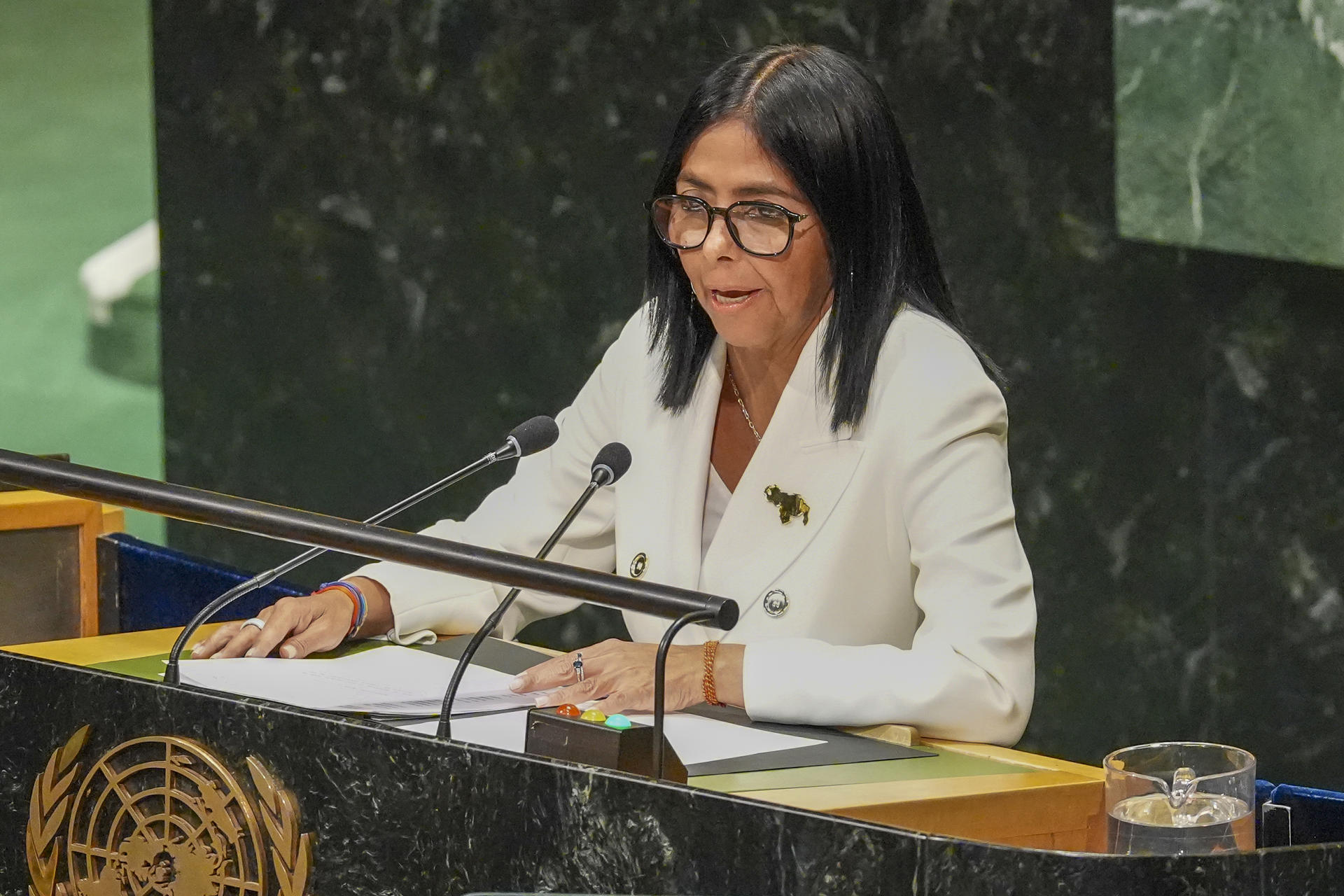 Delcy dejó entrever en la ONU que Venezuela aún no vive "una democracia plena"