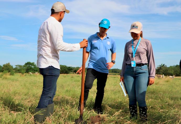 Ecuador busca frenar la expansión de dos plagas agrícolas con apoyo especializado de la FAO