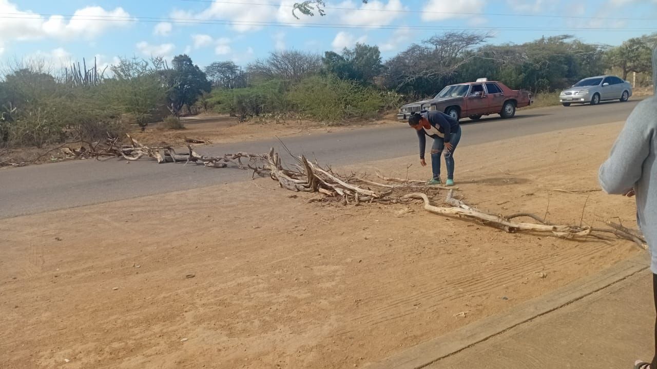 Por una reparación "chucuta" de Hidroven que dejó sin agua a Los Olivos, vuelven a trancar vía en municipio Falcón